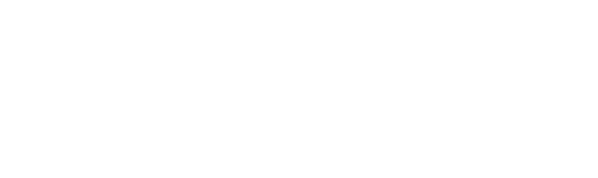 IBDT